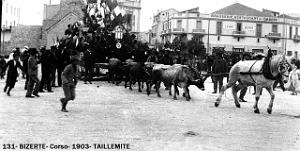 131- Bizerte- Corso- 1903- Taillemite